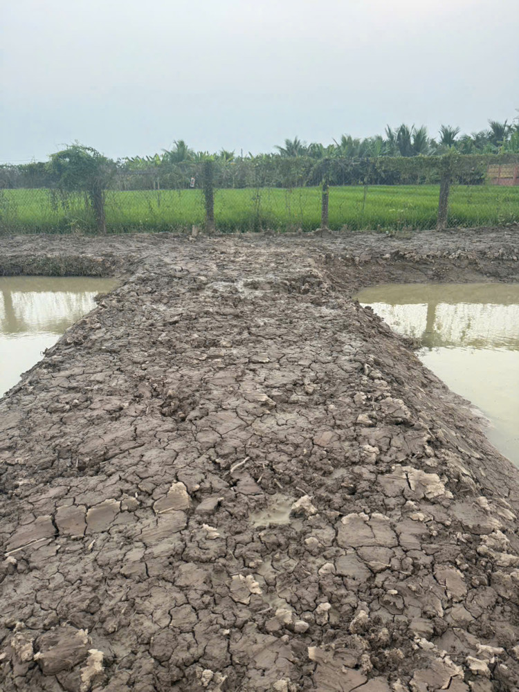 Bán 1.000M² Đất Vườn Giá Mềm – Gần Chợ Cầu Vuông - Châu Thành, Long An