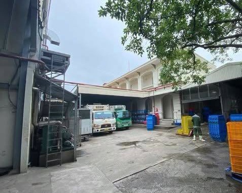 Cho Thuê 3.300M² Kho Xưởng Ccn Trường An, An Khánh - Sẵn Kho Lạnh, Trạm Điện 600Kva