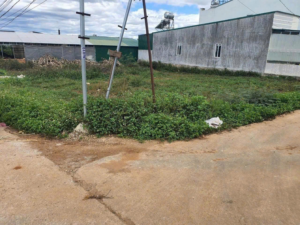 Bán Đất Liên Nghĩa Lâm Đồng Giá 2Ty9- Dt242m2