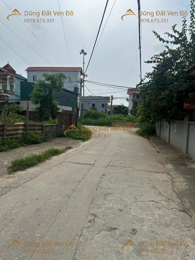 203M Phú Nghĩa-Chương Mỹ-Hà Nội