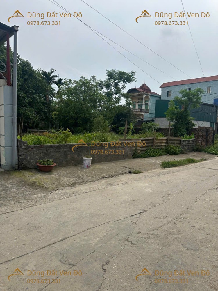 203M Phú Nghĩa-Chương Mỹ-Hà Nội