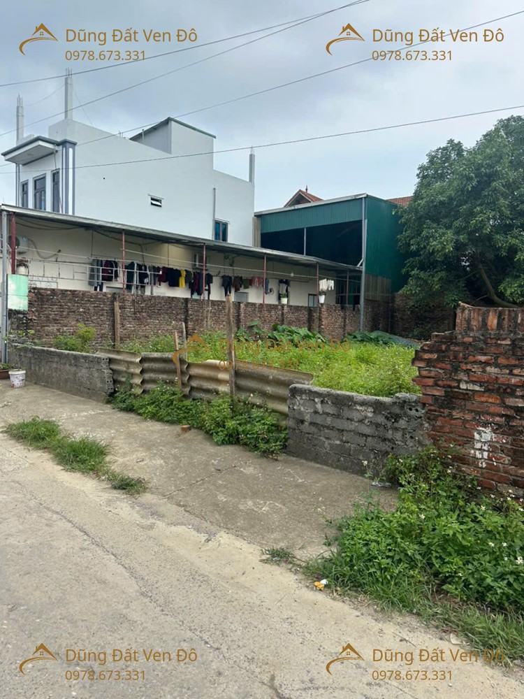 203M Phú Nghĩa-Chương Mỹ-Hà Nội