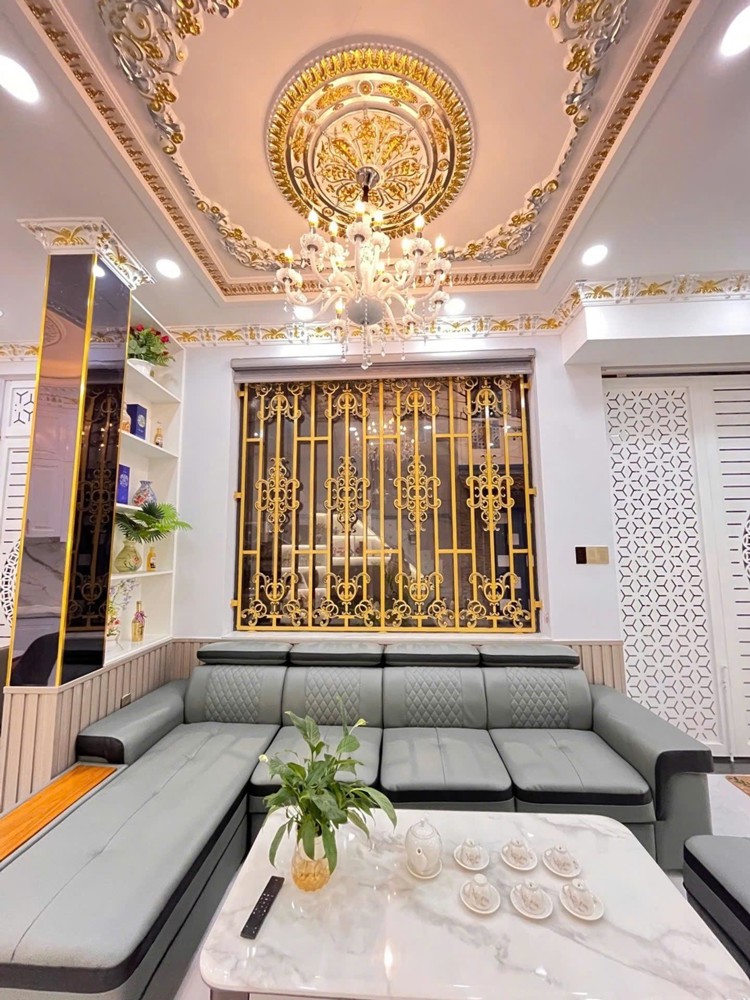 Nhà Ngang 10M, Có Thang Máy, Cạnh Phú Mỹ Hưng, Chỉ Hơn 8 Tỷ