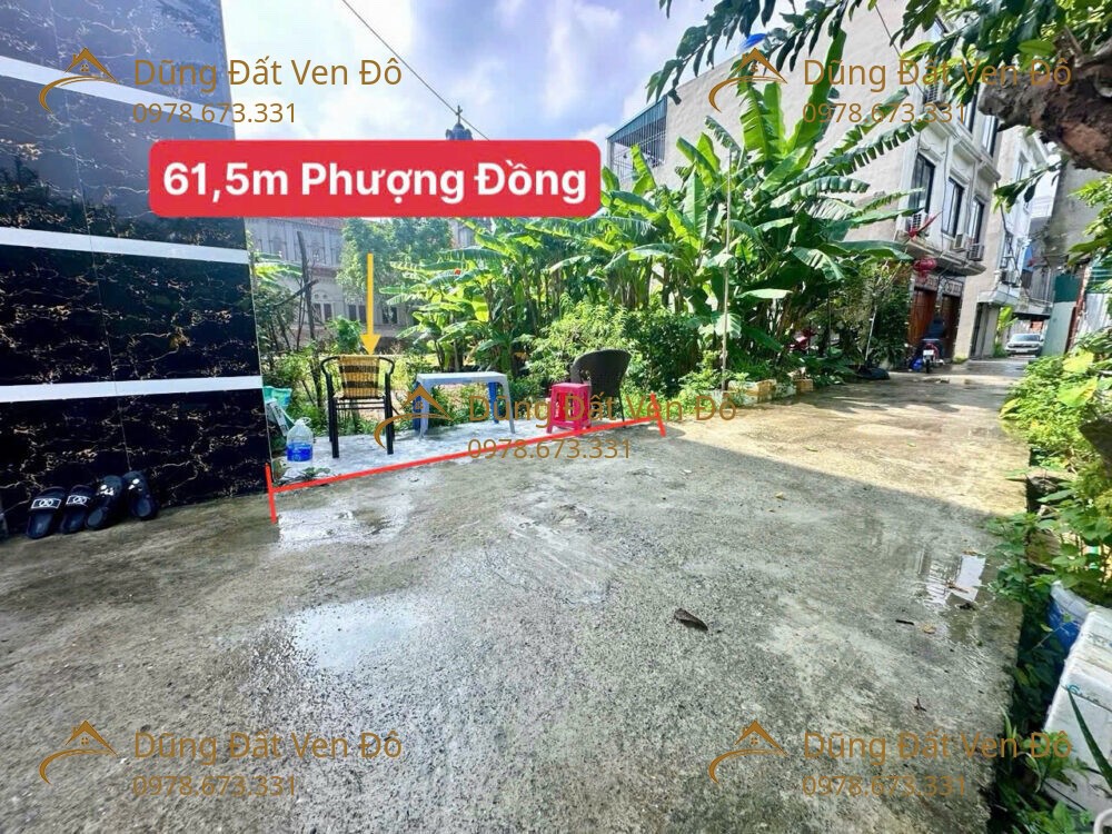 61,5M Phụng Châu-Chương Mỹ-Hà Nội