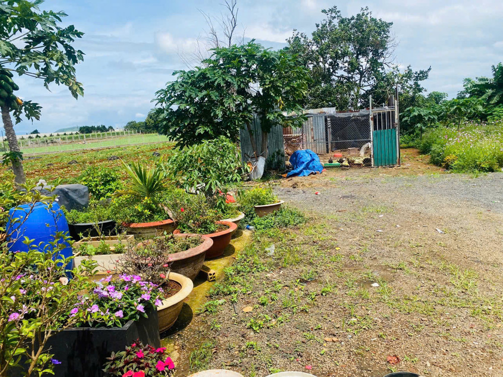 Rẻ Nhất Thị Trường Có 1 Ko 2-Giảm Cực Sâu 900 Triệu - Bán Gấp Lô Đất 369M² Ngay Tt Hành Chính Đức