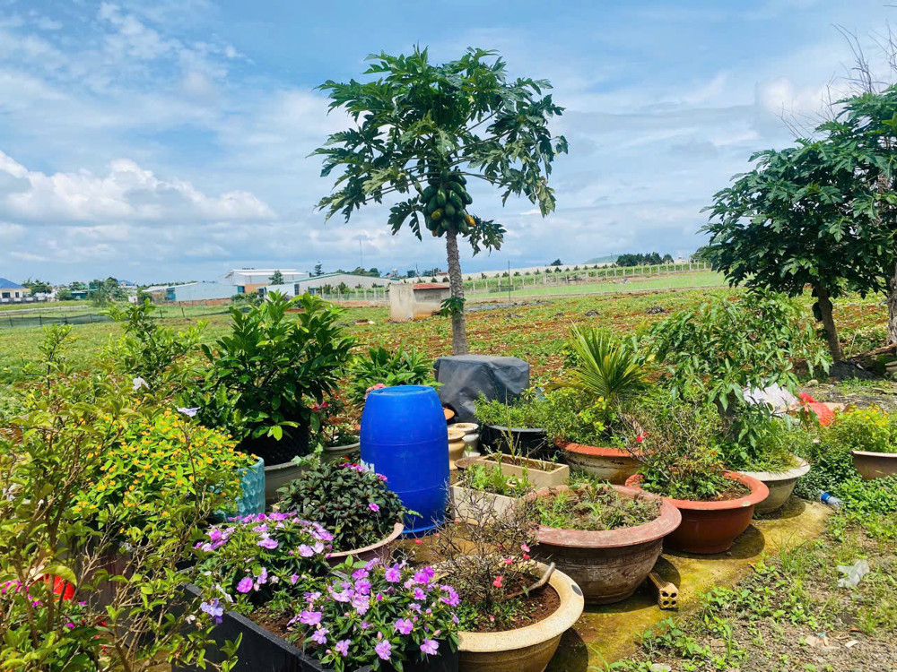 Rẻ Nhất Thị Trường Có 1 Ko 2-Giảm Cực Sâu 900 Triệu - Bán Gấp Lô Đất 369M² Ngay Tt Hành Chính Đức