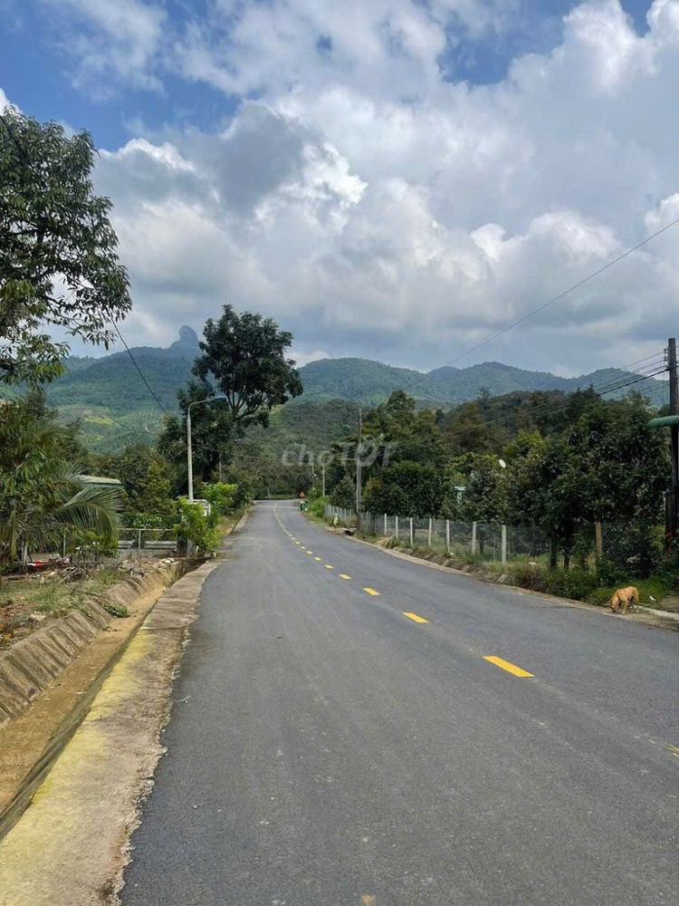 Đầu Tư Sinh Lời – Cần Bán Lô Đất Mặt Tiền Tại Thị Trấn Đạ M'ri, Huyện Đạ Huoai, Tỉnh Lâm Đồng