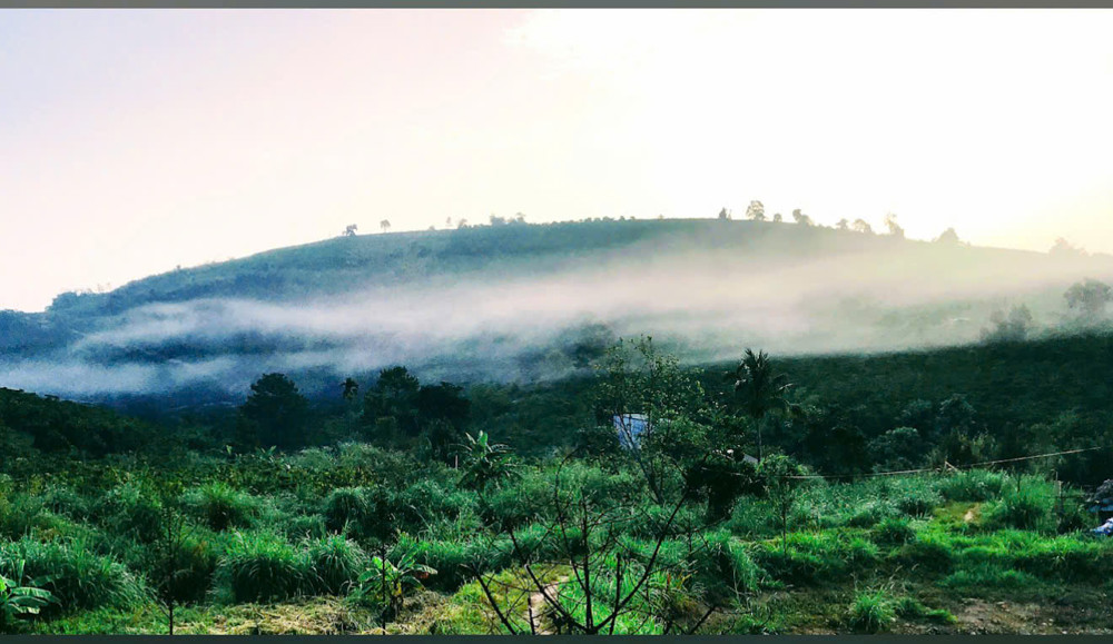 Bán Đất View Đồi – Sát Suối – Bản Bon, Bảo Lộc