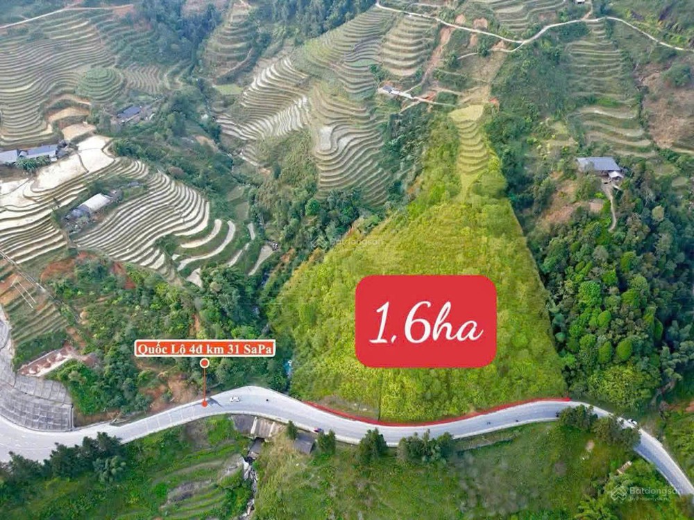 Chính Chủ Bán Hơn 1,6Ha Đất Duy Nhất Ngay Mt Quốc Lộ 4D-Ngay Cầu 31