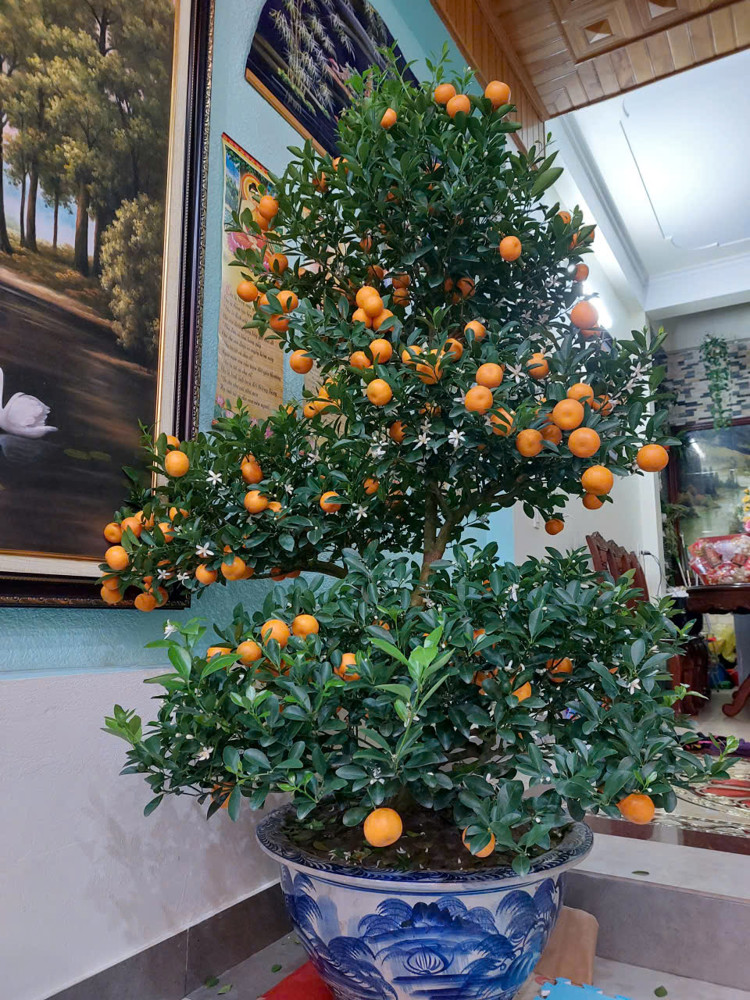 Cho Thuê Nhà 5 Tầng, Mặt Phố Vip Đinh Tiên Hoàng – P Kỳ Bá ( Trần Lãm), Tp Thái Bình
