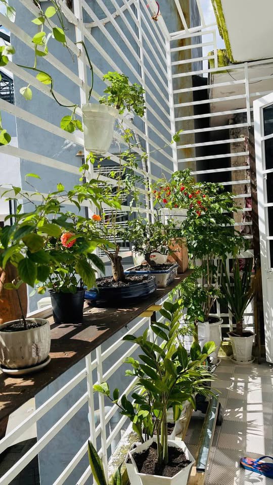 ► Nhà 40M Ra Mặt Tiền Phạm Văn Nghị 2 Tầng Sạch Đẹp 2.X Tỷ Vừa