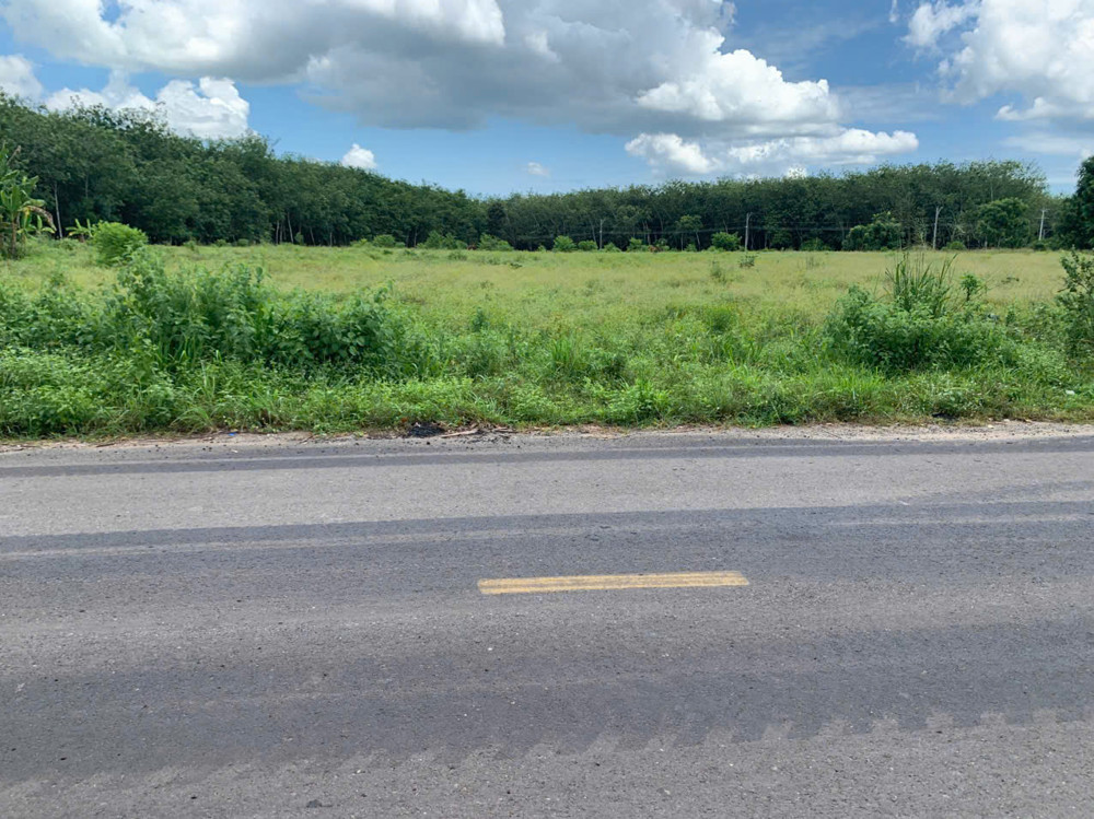 Bán Quỹ Đất 2,35 Ha Mặt Tiền Đường Nhựa – Phường Long Nguyên, Tp Hồ Chí Minh