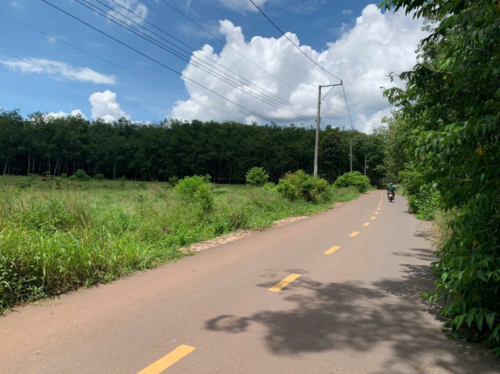 Bán Quỹ Đất 2,35 Ha Mặt Tiền Đường Nhựa – Phường Long Nguyên, Tp Hồ Chí Minh