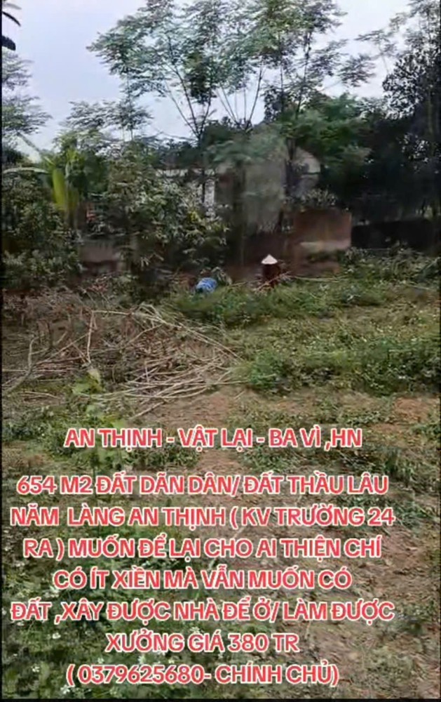 Mảnh Đất Giá Hời - Bán Nhanh Lô Đất Dãn Dân /Trồng Cây Lâu Năm - Đầu Tư Là Sinh Lời Tại H. Ba Vì Hn