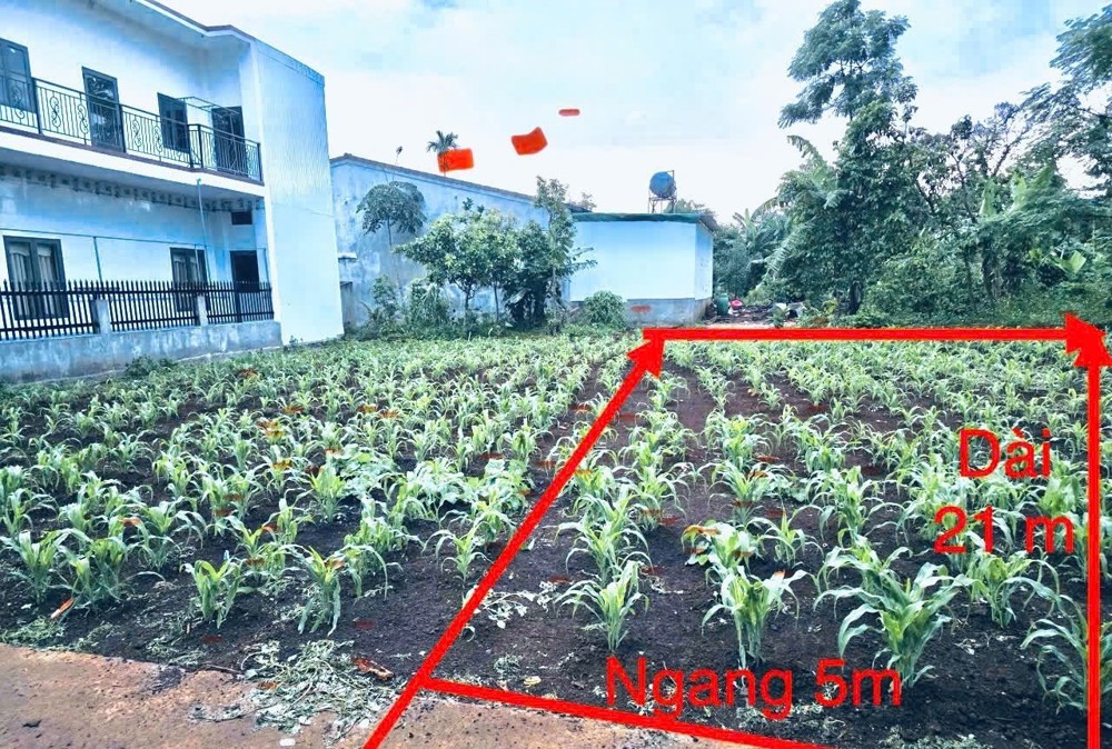 Đầu Tư Sinh Lời – Chính Chủ Cần Bán Đất Tại Phường Tân An (Trước Là Xã Eatu, Tp Buôn Mê Thuột),