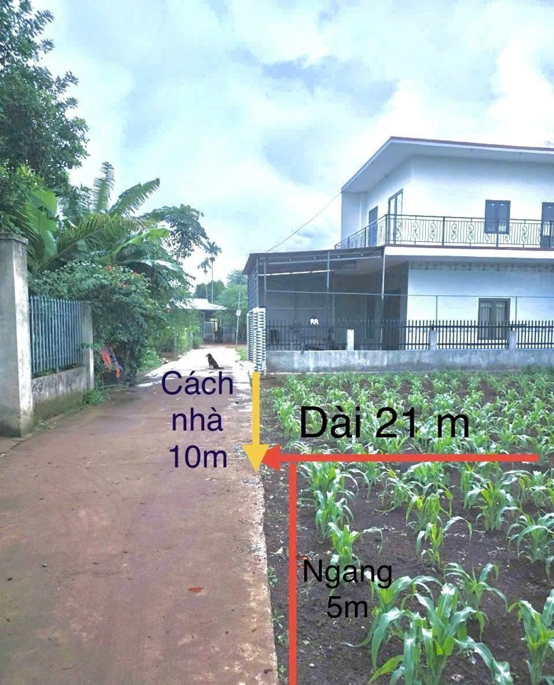 Đầu Tư Sinh Lời – Chính Chủ Cần Bán Đất Tại Phường Tân An (Trước Là Xã Eatu, Tp Buôn Mê Thuột),