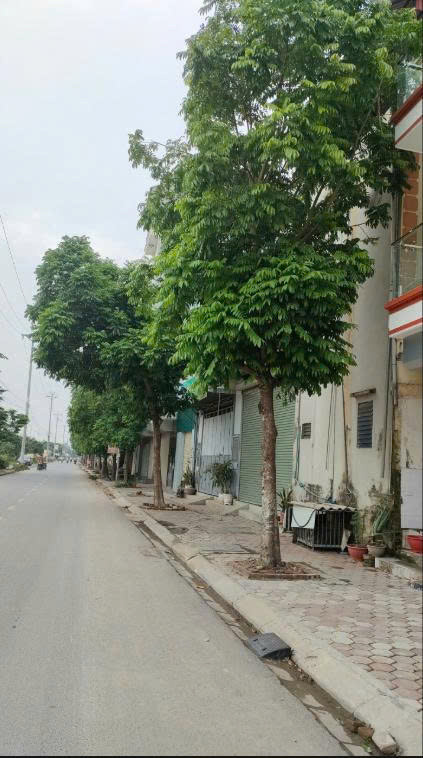 Cc Cho Thuê Nhà Tại Lũng Kênh, Đức Giang Hoài Đức, Hà Nội
