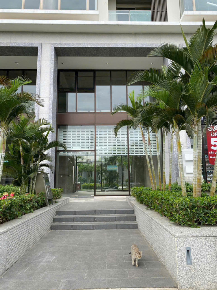 Cho Thuê Tầng 1 Shophouse The Peak Midtown – Phú Mỹ Hưng, Quận 7
