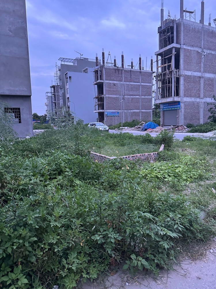 Bán Đất Phân Lô Lê Hồng Phong - Vị Trí Vàng Đầu Tư