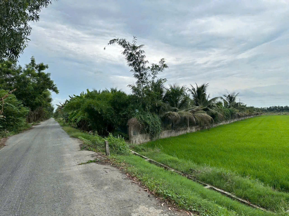 Ngộp Cắt Lỗ! 6.000M² Đất Củ Chi Chỉ 1 Triệu/m² – Giá Chốt 6 Tỷ