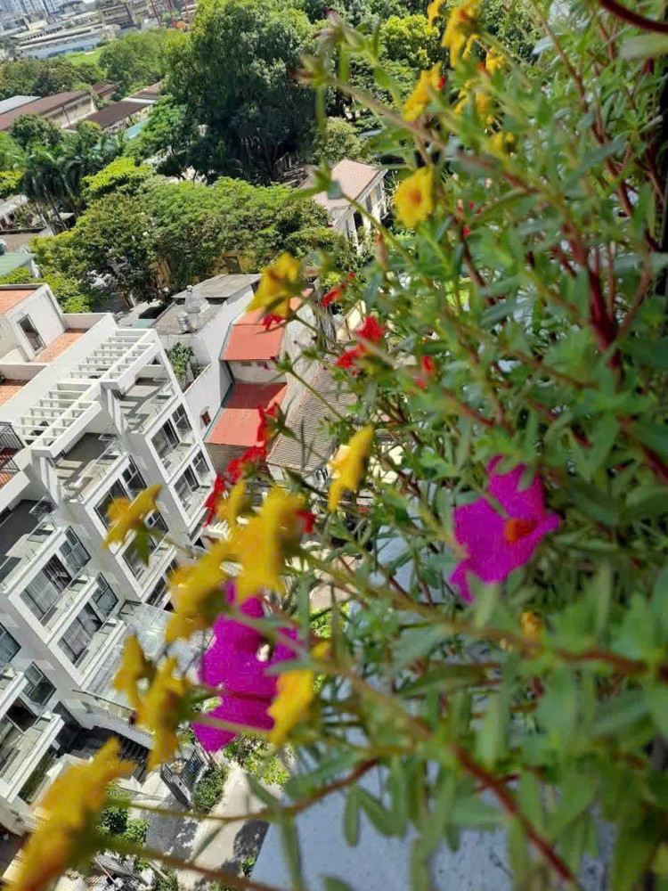 Bán Căn Hộ Chung Cư 54 Hạ Đình , Thanh Xuân, Hà Nội – Nhà Đẹp, Full Nội Thất, Chỉ Việc Dọn Vào Ở