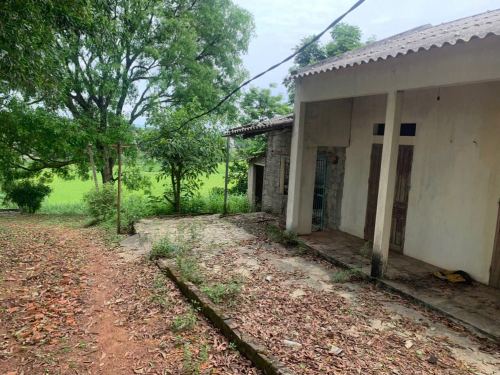 Chính Chủ Bán 240M2 Cln Ngọc Nhị, Bao Sang Tên, Sổ Chính Chủ Xã Cẩm Lĩnh, Ba Vì, Hà Nội