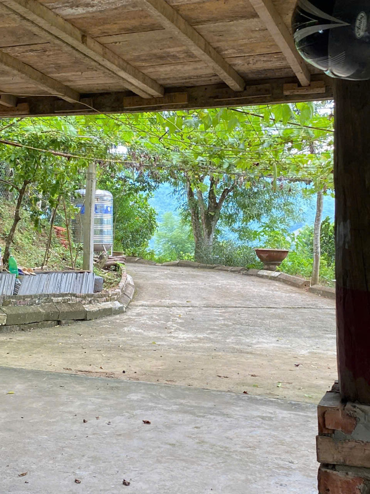 Chính Chủ Bán Gấp Trang Trại 12.415,7M² Tại Phường Thống Nhất, Tỉnh Phú Thọ – Chỉ Cách Hà Nội