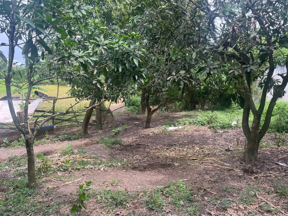 Đất Đẹp - Đầu Tư Sinh Lời - Chính Chủ Cần Bán Lô Đất Tại Xã Túc Trưng, Định Quán, Đồng Nai