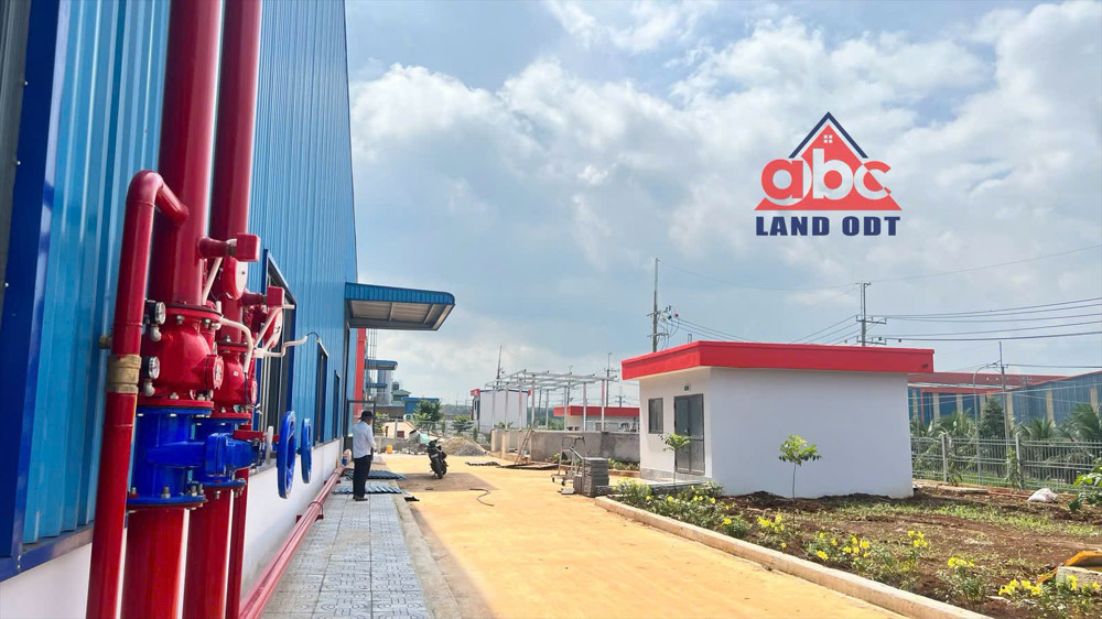 Xt191 Cho Thuê Xưởng Sản Xuất, Khung Thép Lớn, Xưởng Mới Tối Ưu Hóa Chi Phí Đầu Tư Sx