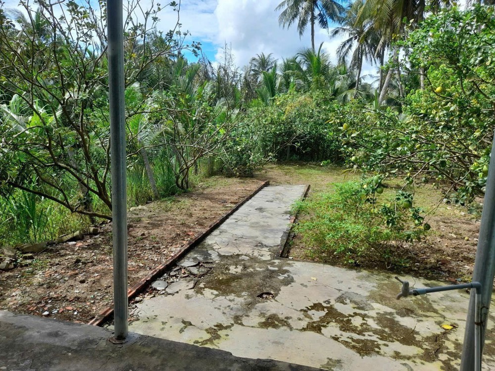 Nhà Chính Chủ- Giá Tốt Bán Nhanh Căn Nhà Tại Huyện Càng Long Tỉnh Trà Vinh