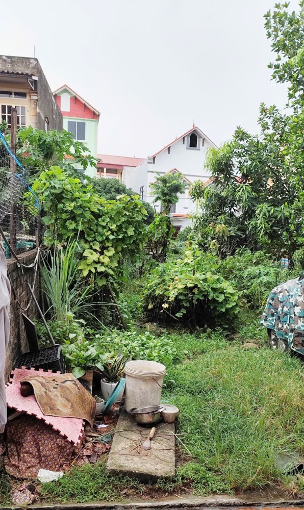 Đất Chính Chủ- Giá Tốt Bán Nhanh Lô Đất Vị Trí Đắc Địa Tại Huyện Mê Linh Tp Hà Nội