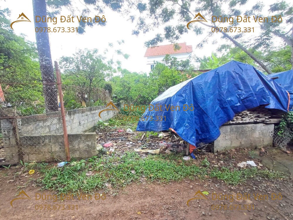 131M Đông Phương Yên-Chương Mỹ-Hà Nội
