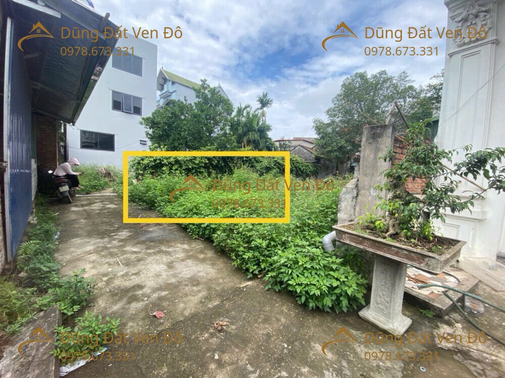81M Trường Yên-Chương Mỹ-Hà Nội