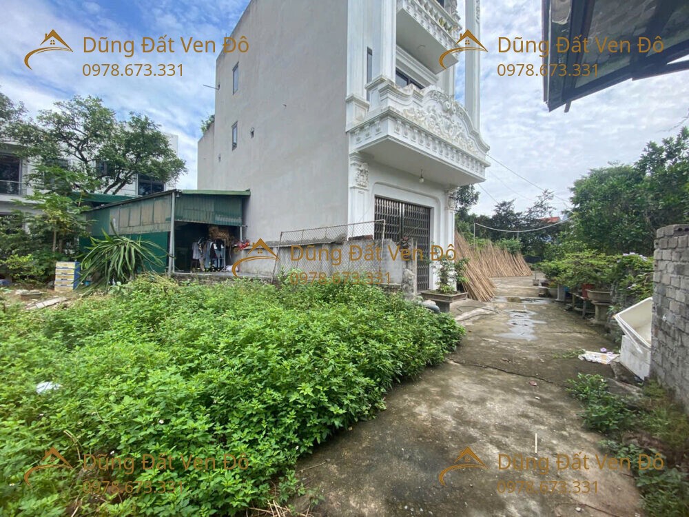 81M Trường Yên-Chương Mỹ-Hà Nội