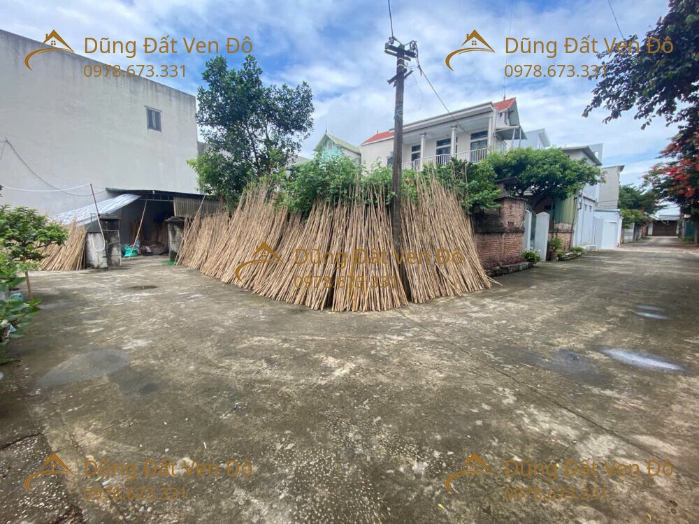 81M Trường Yên-Chương Mỹ-Hà Nội