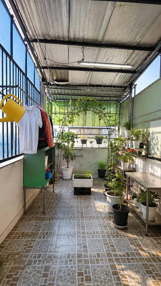 Bán Nhà Lê Hồng Phong, Quận 10, 3 X 12M (36 M2), 8.9 Tỷ