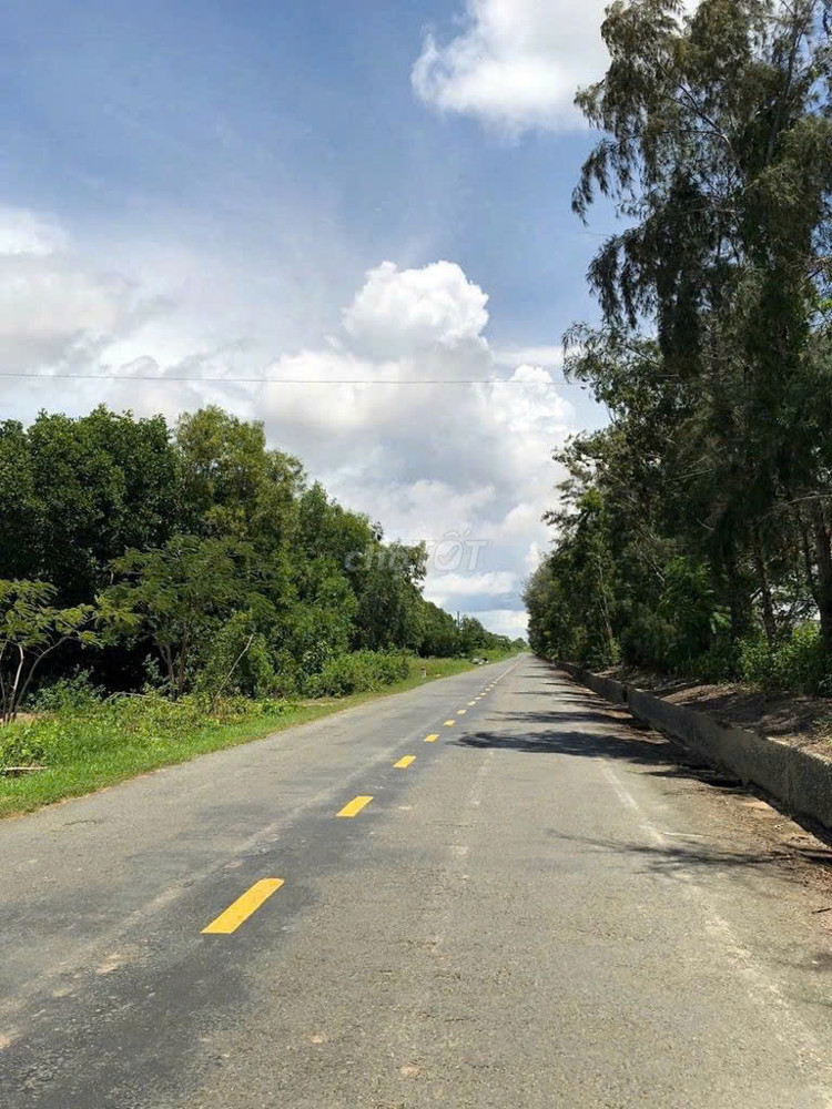 Hàng Hiếm –Bán Đất Mặt Tiền 70.000M -Nam Sông Hậu, Xã Trung Bình, Huyện Trần Đề, Tỉnh Sóc Trăng