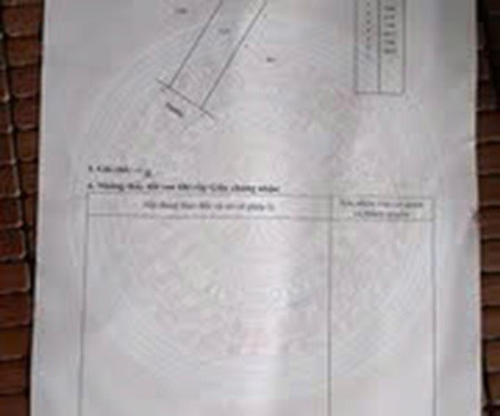 Đất Đẹp – Giá Tốt – Chính Chủ Cần Bán Đất Tại Xã Nghi Xá, Huyện Nghi Lộc, Tỉnh Nghệ An
