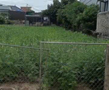 Đất Đẹp – Giá Tốt – Chính Chủ Cần Bán Đất Tại Xã Nghi Xá, Huyện Nghi Lộc, Tỉnh Nghệ An