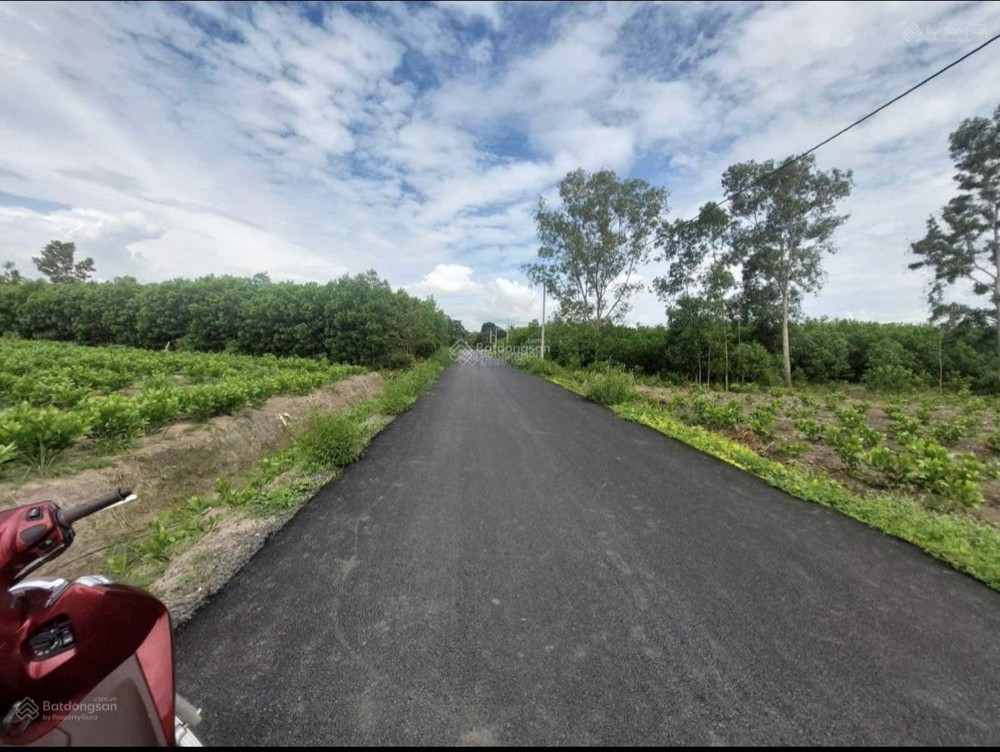Đầu Tư Sinh Lời - Chính Chủ Bán Lô Đất Mặt Tiền Xã Hoà Hiệp, Huyện Xuyên Mộc, Brvt