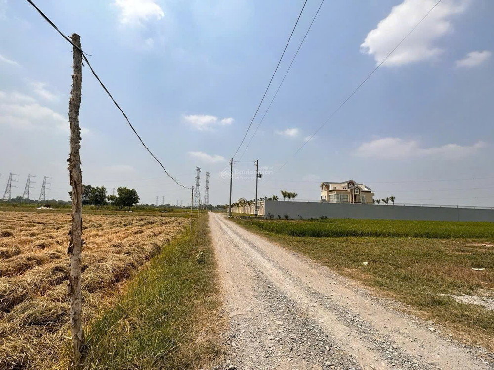 Đất Xây Villa, Ngay 1 Sẹc Nhựa Nguyễn Văn Dương, 2100M2, Full Thổ Cư, Giá Chỉ 9,5Tỷ, 4 Shr