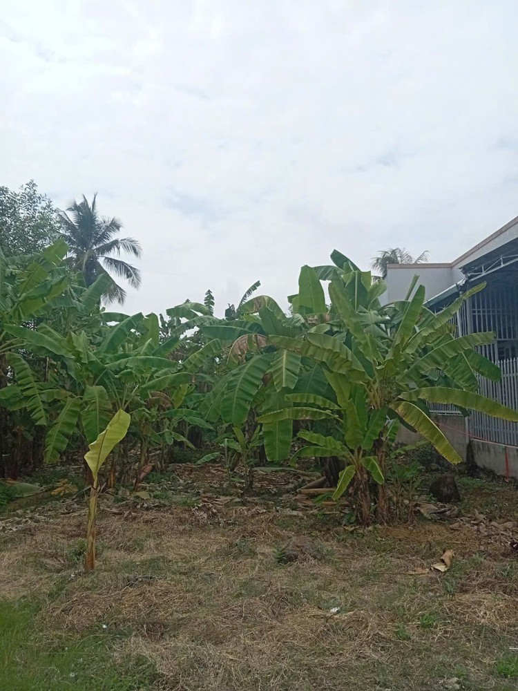 Đầu Tư Sinh Lời - Chính Chủ Cần Bán 2 Lô Đất Đẹp Tại Ấp 3, Xã Gia Canh, Huyện Định Quán, Tỉnh Đồng