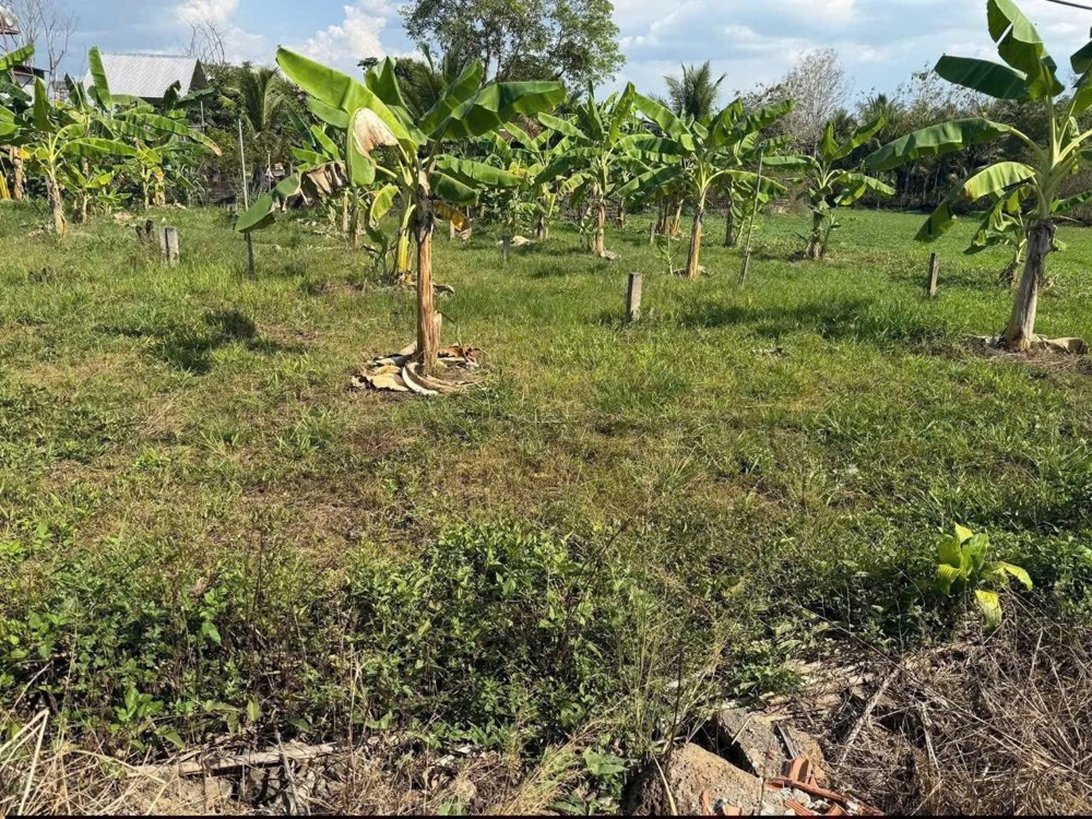 Đầu Tư Sinh Lời - Chính Chủ Cần Bán 2 Lô Đất Đẹp Tại Ấp 3, Xã Gia Canh, Huyện Định Quán, Tỉnh Đồng