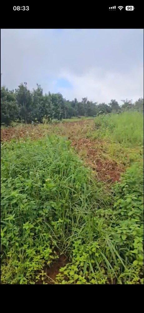 Hot Hot Đầu Tư Sinh Lời– Chính Chủ Cần Bán Đất Tại Xã Đăk Buk So, Huyện Tuy Đức, Tỉnh Đăk Nông