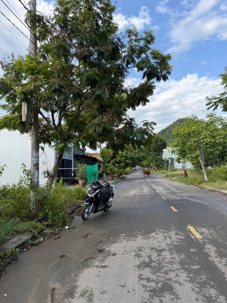 Bán Đất Đường 7,5M Đại La 2 - Gần Đường Hoàng Văn Thái