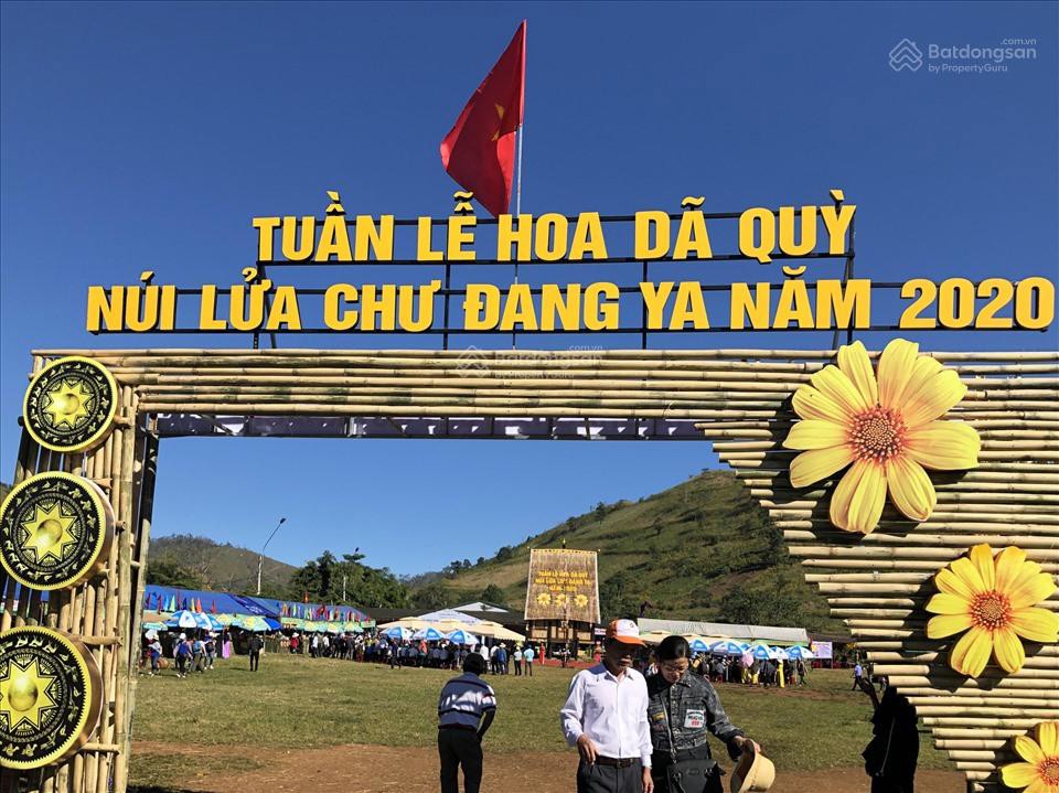 Chính Chủ Bán 1.211M2 Đất Sẵn Sổ Khu Lễ Hội Hoa Dã Quỳ Núi Lửa Chư Đăng Ya
