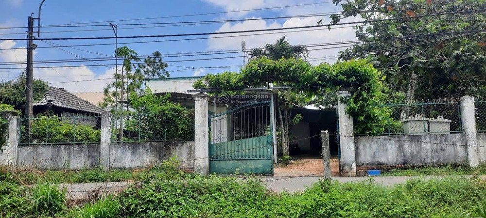 Hot Hot – Chính Chủ Cần Bán Đất Tại Phường Phước Hưng, Thành Phố Bà Rịa, Bà Rịa Vũng Tàu