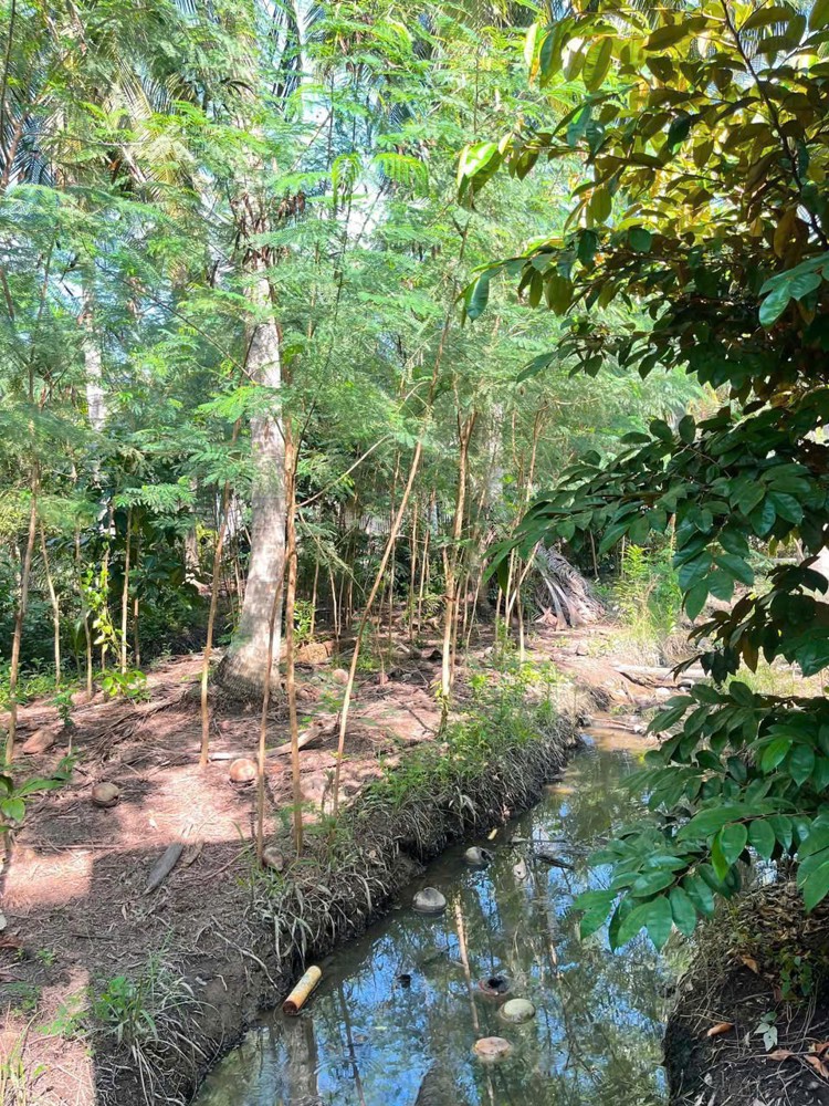 Đầu Tư Sinh Lời - Chính Chủ Cần Bán Đất Vườn Tại 172 Ô4 Khu 1, Thị Trấn Chợ Gạo, Tiền Giang