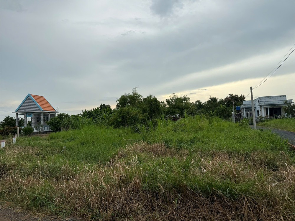 Đất Chính Chủ - Giá Tốt Cần Bán Tại Bờ Mồi, Xã Phước Tuy, Huyện Cần Đước, Long An