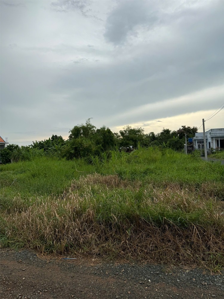 Đất Chính Chủ - Giá Tốt Cần Bán Tại Bờ Mồi, Xã Phước Tuy, Huyện Cần Đước, Long An